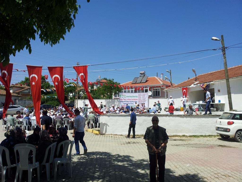 20150523_135824 (Large).jpg