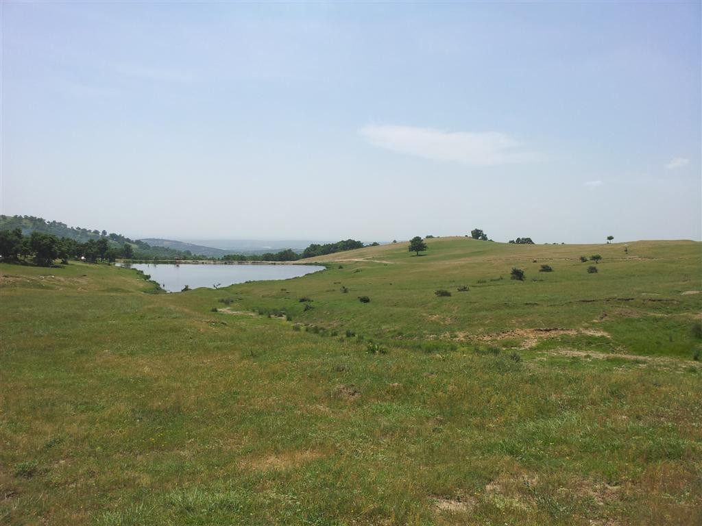 20150524_134746 (Large).jpg