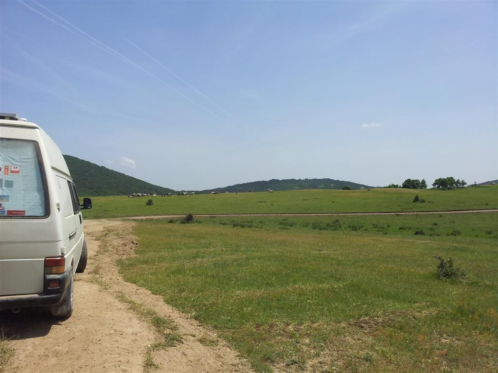 20150524_134822 (Large).jpg