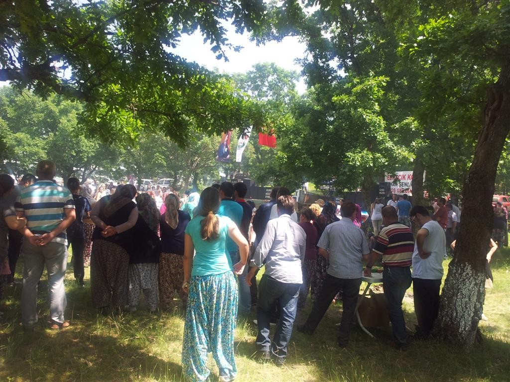 20150524_144502 (Large).jpg