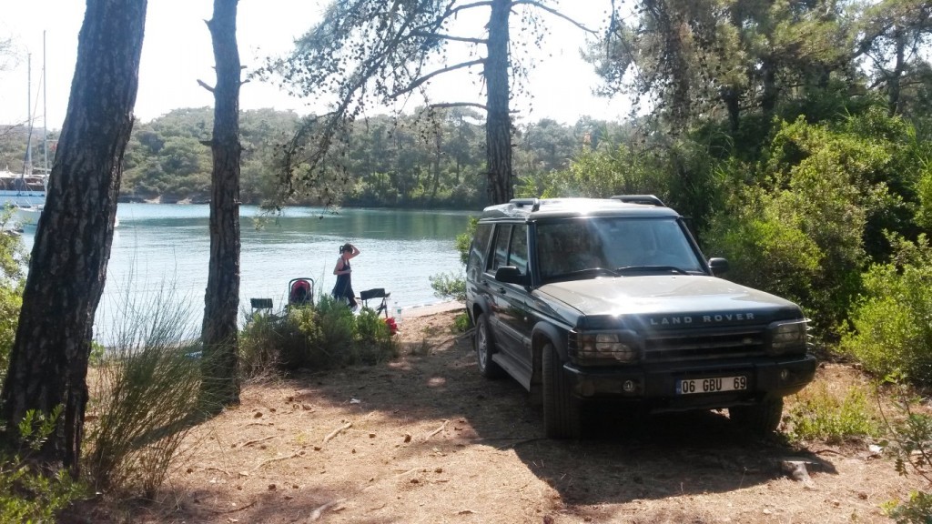 20150624_094343 (Medium).jpg