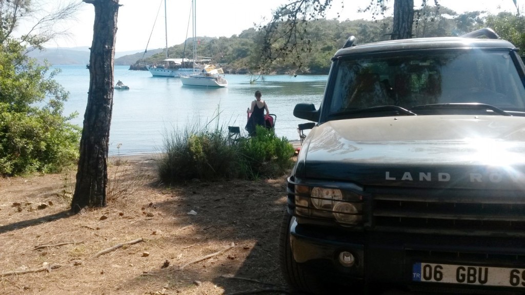 20150624_094357 (Medium).jpg