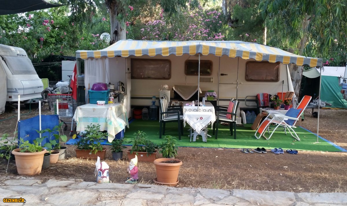 2018-06-07 07.04.28.jpg