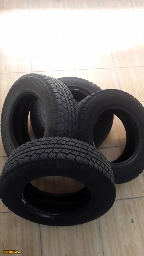 20180910_100226.jpg