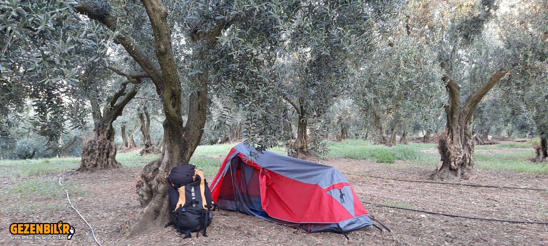 20210908_071419.jpg 20210908_071419.jpg