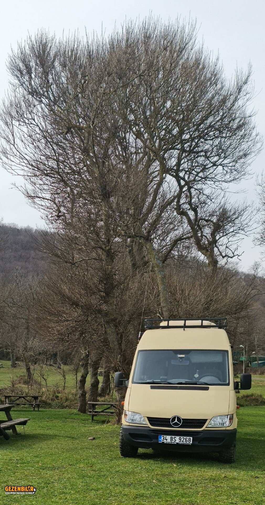 20240225_110642.jpg 20240225_110642.jpg