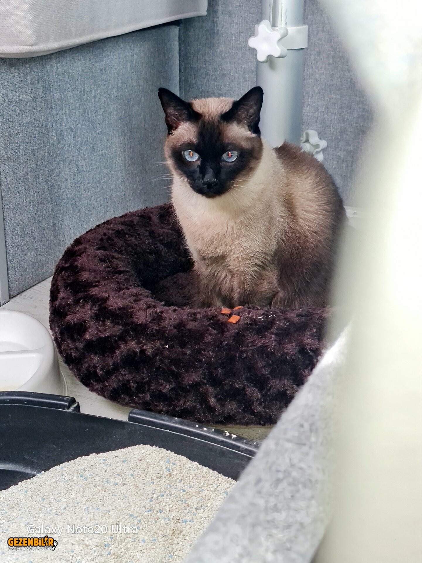 20240225_132248.jpg 20240225_132248.jpg