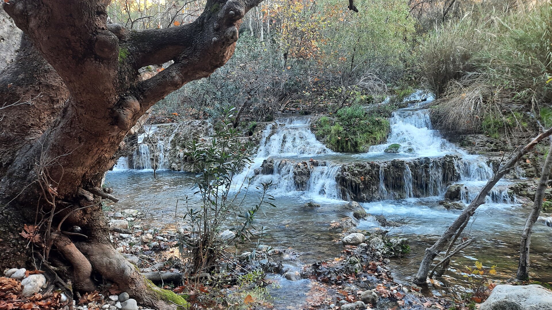 20241212_104934.jpg 20241212_104934.jpg