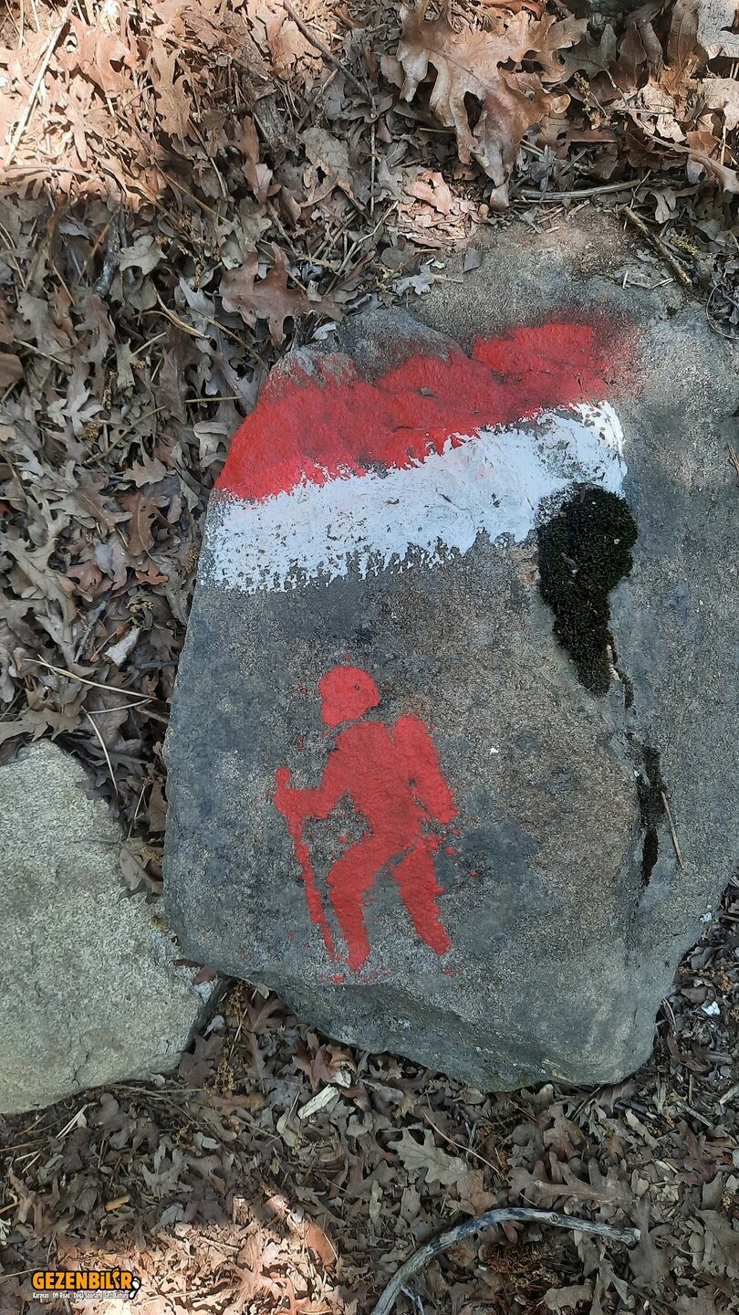 20250612_101311.jpg