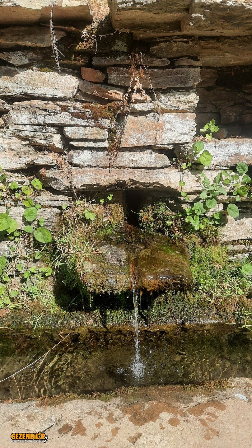 20250625_170924.jpg
