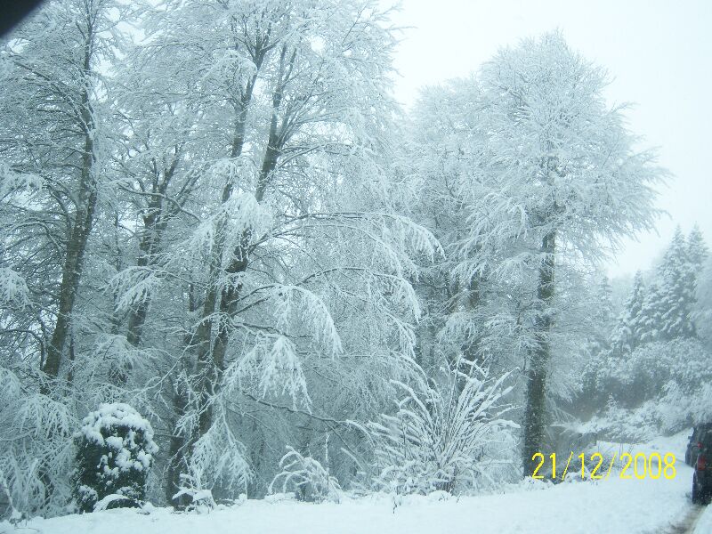 21,12,2008 Kartepe Gezisi 006.jpg