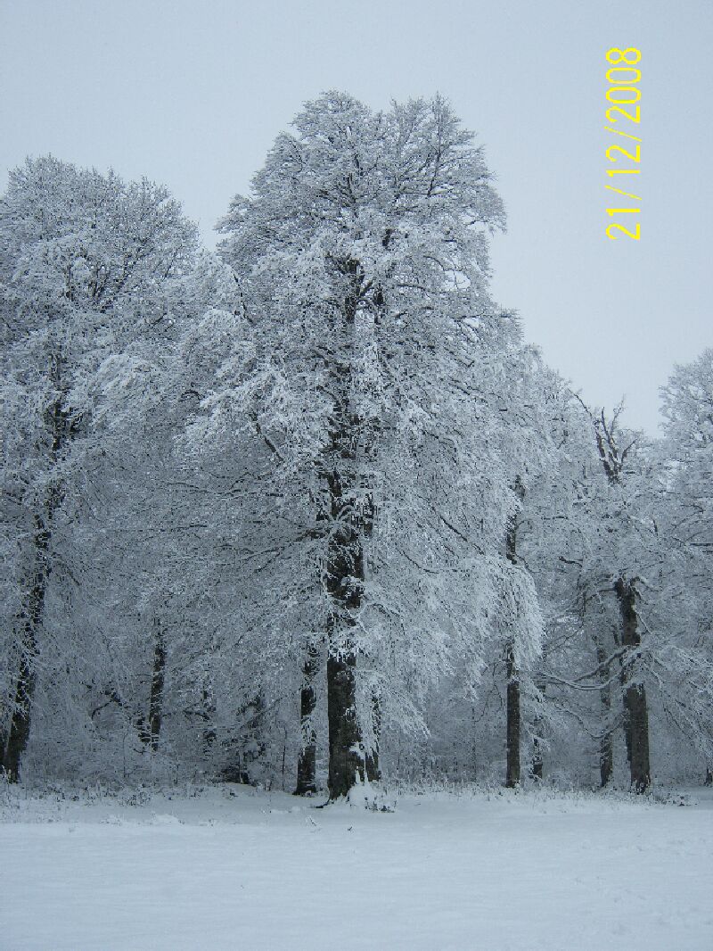 21,12,2008 Kartepe Gezisi 034.jpg