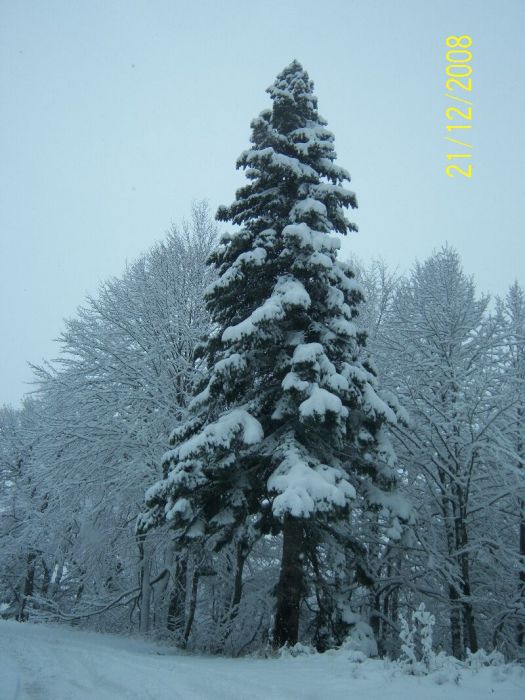 21,12,2008 Kartepe Gezisi 037.jpg