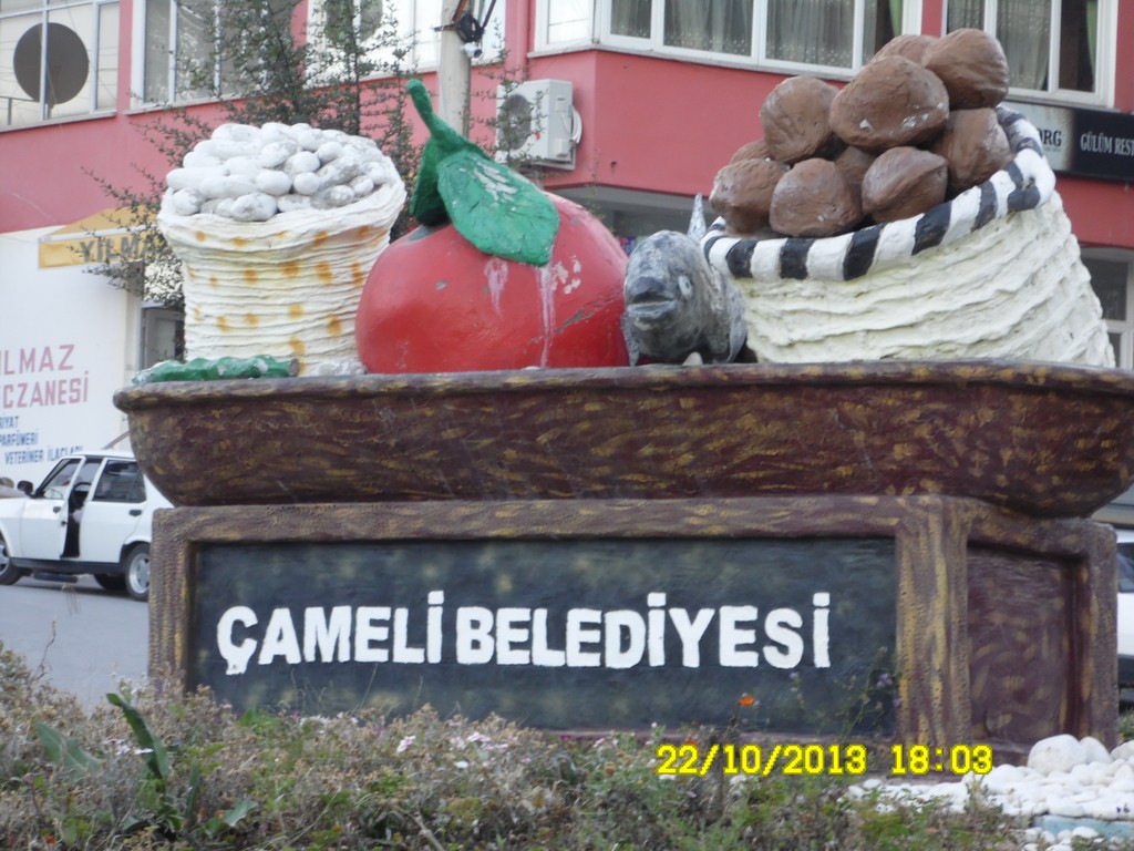 22-10-18-03-cameliheykel.jpg