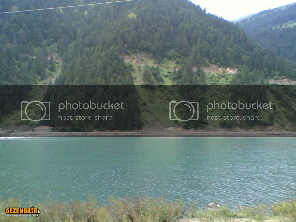 22062006007.jpg