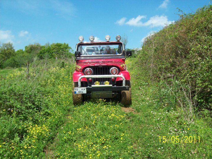 226742_1771781500895_1429993495_31636629_1908497_n - Kopya.jpg