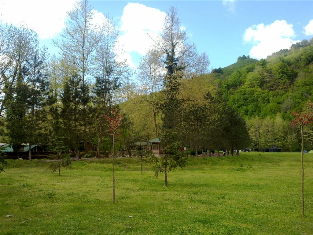 230420154492 (Large).jpg