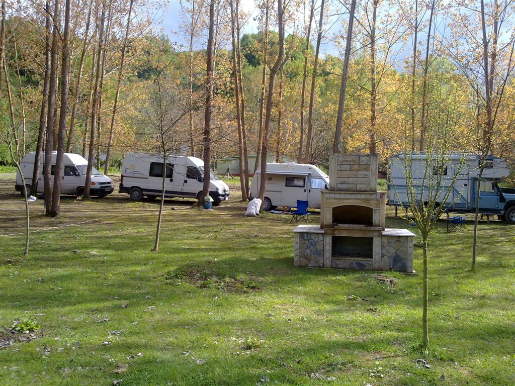 230420154493 (Large).jpg