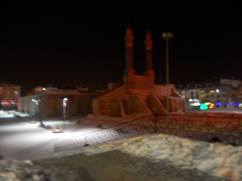 239.jpg