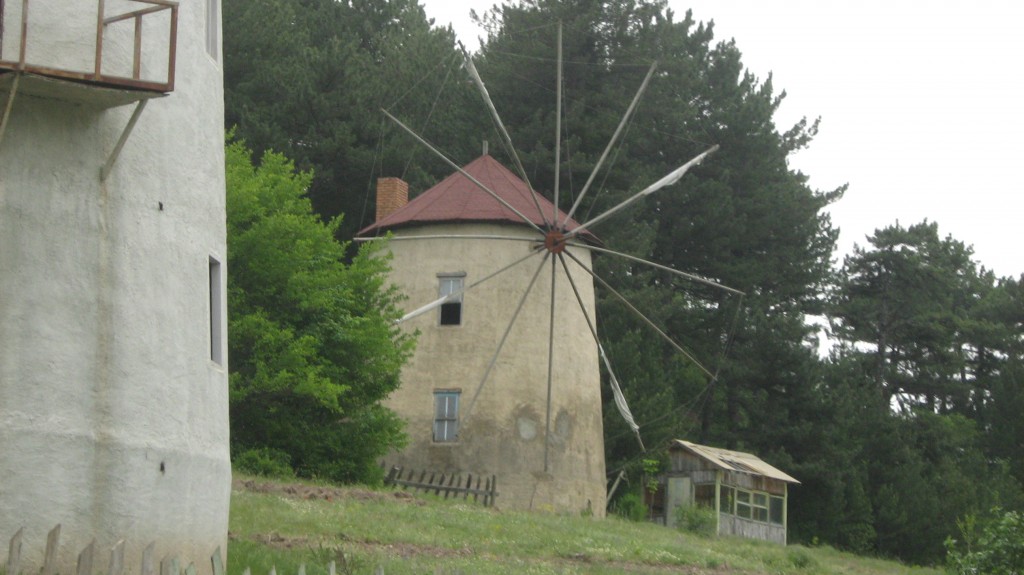 240.JPG