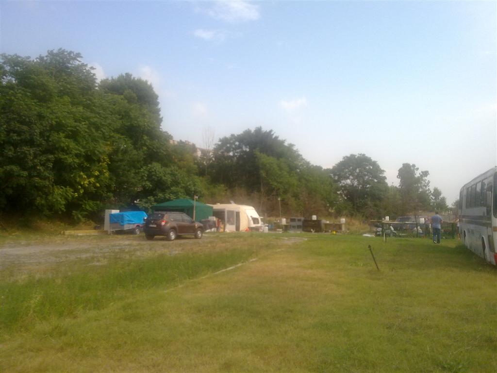 240720143109 (Large).jpg