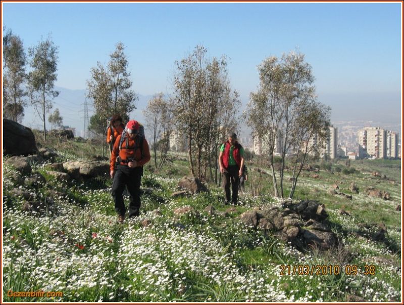 247 - ÃƒÂƒÃ‚ÂƒÃƒÂ‚Ã‚Â–rnekkÃƒÂƒÃ‚ÂƒÃƒÂ‚Ã‚Â¶y (21 Mart 10)  008.jpg