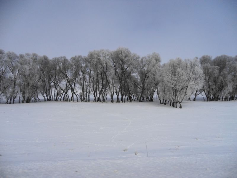 251.jpg
