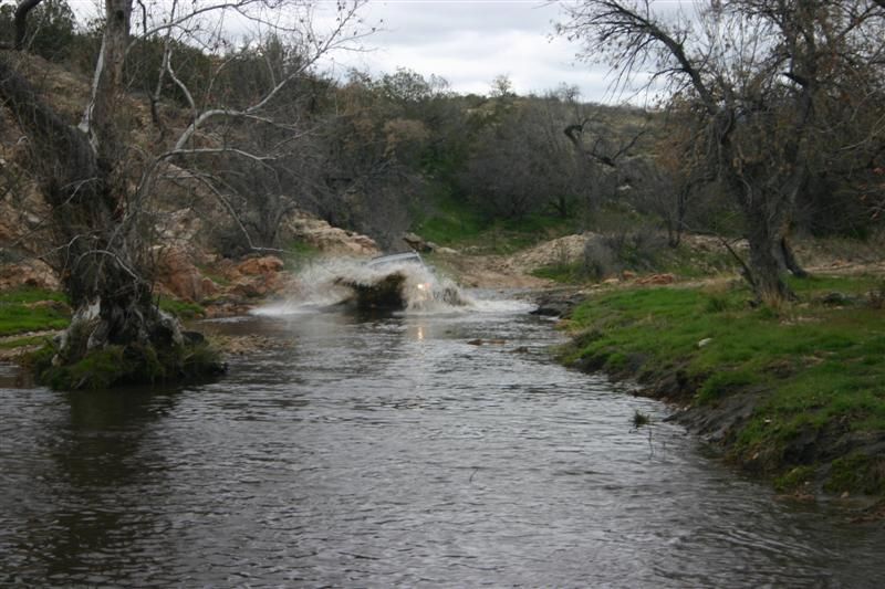 25989463-L.jpg