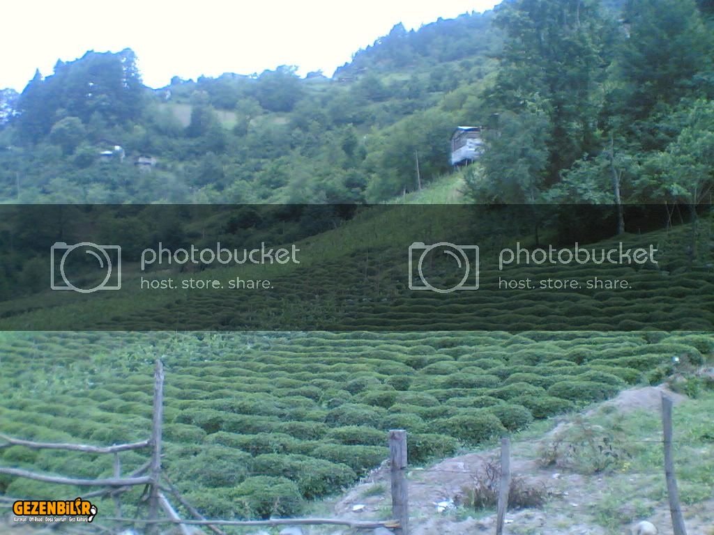 26062006002.jpg 26062006002.jpg