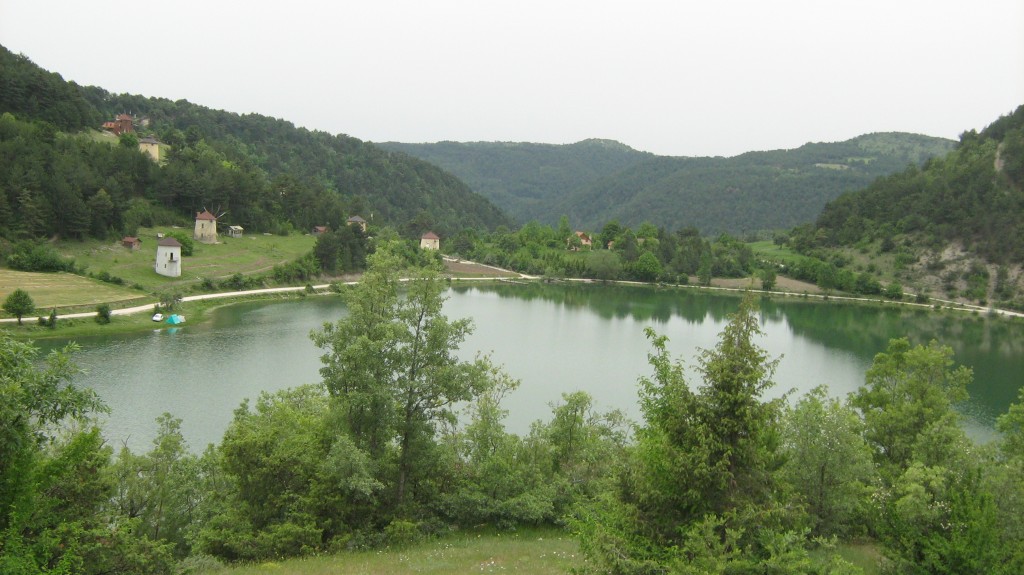 261.JPG