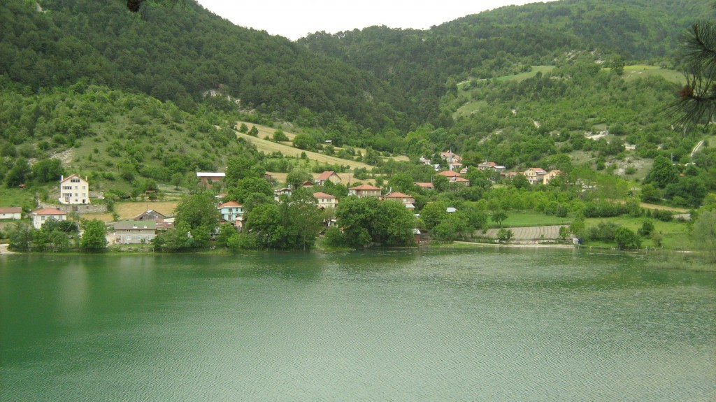 263.JPG