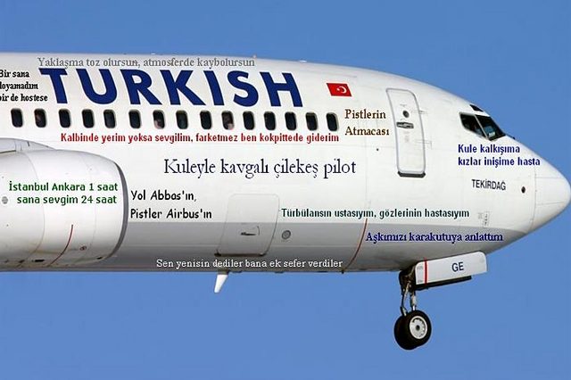 268994.jpg