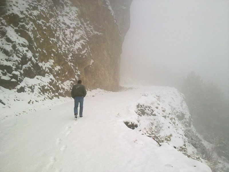 27012011072.jpg