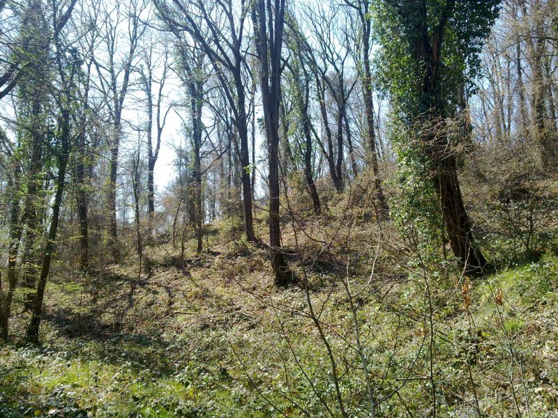 27032010030.jpg