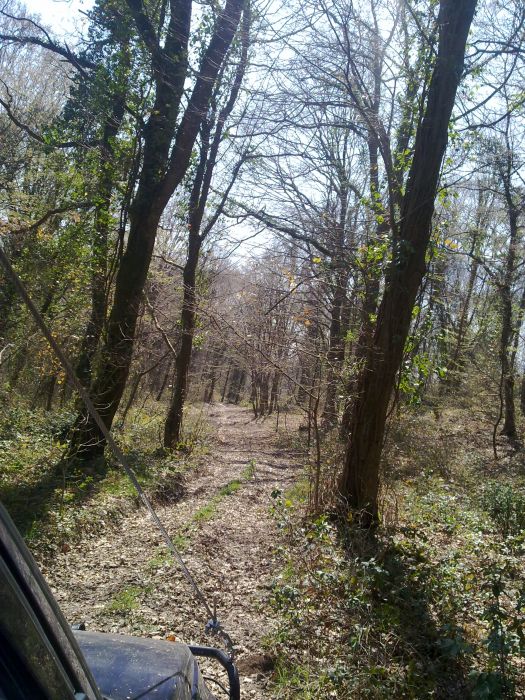 27032010031.jpg
