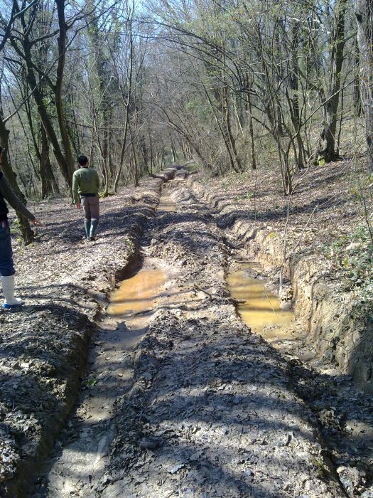27032010032.jpg