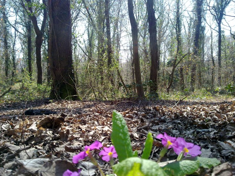 27032010040.jpg