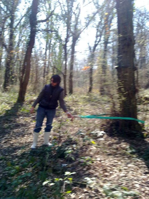 27032010050.jpg