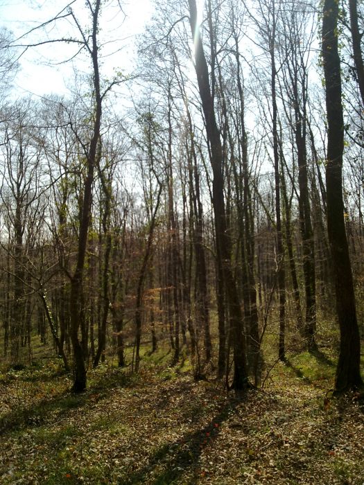 27032010174.jpg