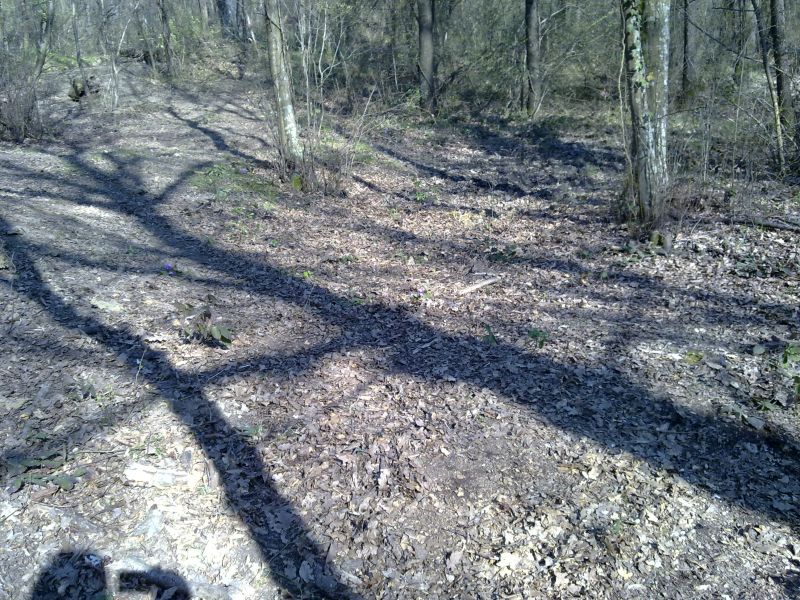 27032010193.jpg