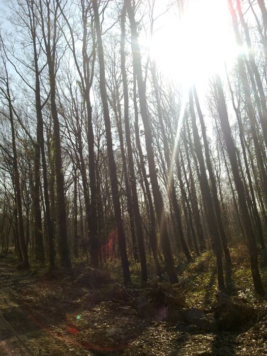 27032010208.jpg