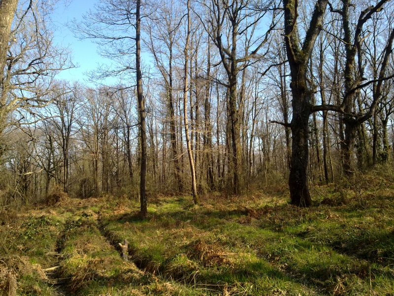 27032010213.jpg