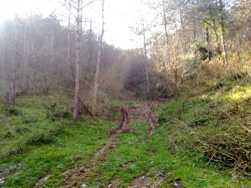 27032010219.jpg