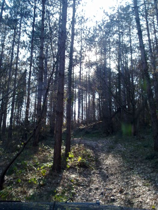 27032010222.jpg