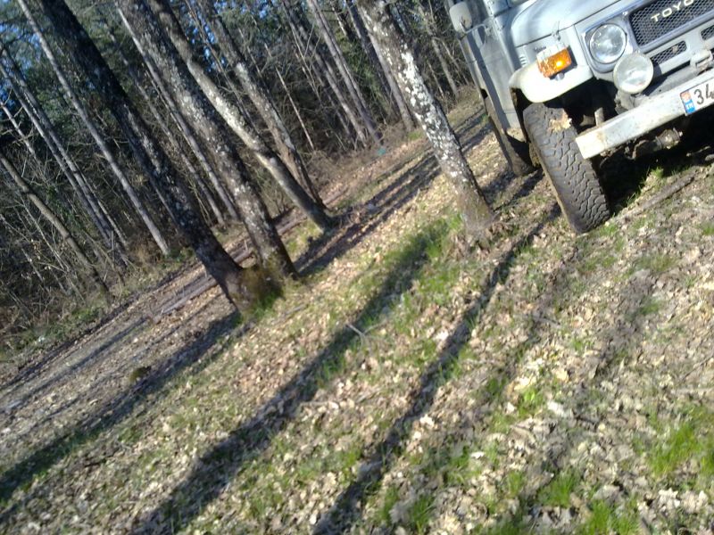 27032010225.jpg