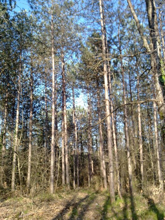 27032010227.jpg