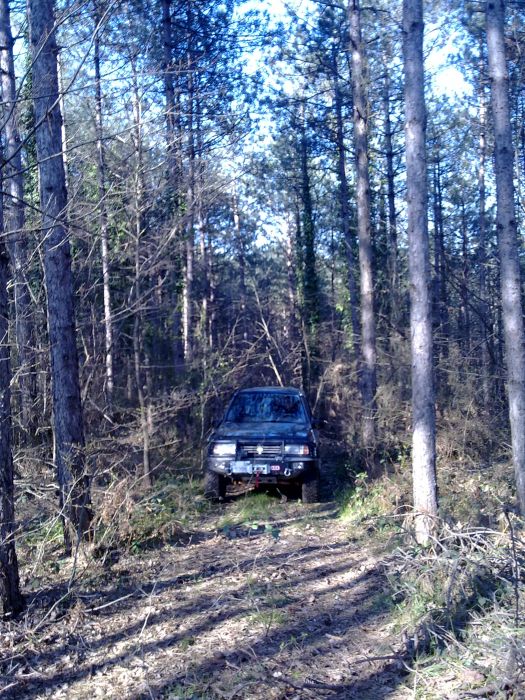 27032010229.jpg
