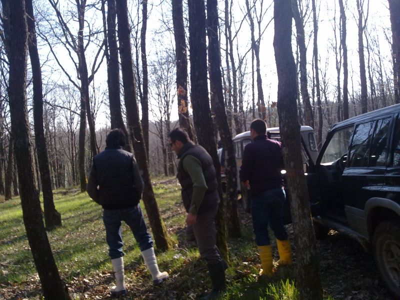 27032010232.jpg
