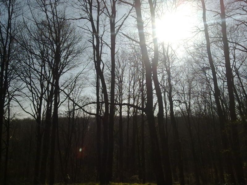 27032010240.jpg