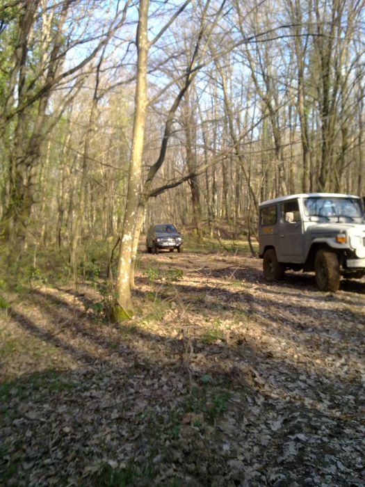 27032010247.jpg